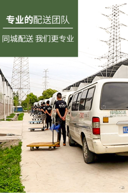 豪门国际官方网站图片