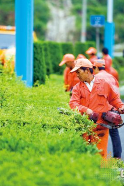 豪门国际官方网站图片